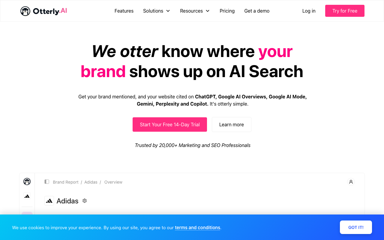 Otterly AI dashboard showing affordable AI search monitoring with brand tracking and GEO audit features